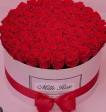 Rose rosse🌹🌹