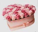 Rose colorate 🌺