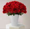 100 rose 🌹🌹