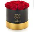 Rose rosse🌹🌹