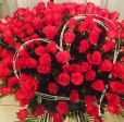 Rose rosse🌹