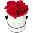 Rose rosse