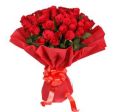 Rose rosse🌹
