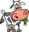 Fatevi Mungere ...🐄🐄🐄