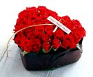 Rose rosse🌹