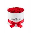 Rose rosse🌹
