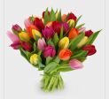 Fiori  💐 