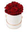 Rose rosse🌹