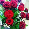 Rose rosse🌹
