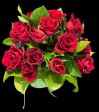 Rose rosse🌹