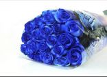 Rose blu 💙