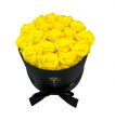 Rose gialle 💛