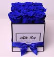 Rose blu 💙