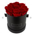 Rose rosse🌹