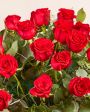 Rose rosse 🌹