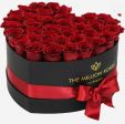 Rose rosse 🌹