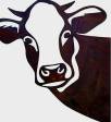 Mungitura bollente 🐮