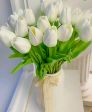 Tulipani 😍❤️
