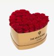 Rose rosse 🌹