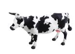 Mucca 🐄 da fottere