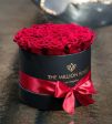 Rose rosse 🌹