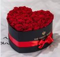 Rose rosse 🌹