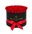Rose rosse 🌹🥀