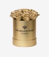 Rose oro 🥰