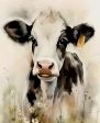 Mungitura bollente 🐮