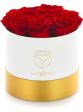 Rose rosse🌹🌹