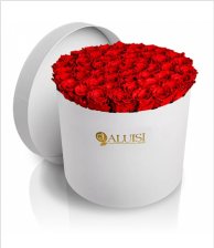 Rose rosse ⚘️⚘️